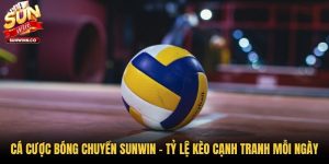 Cá Cược Bóng Chuyền Sunwin - Tỷ Lệ Kèo Cạnh Tranh Mỗi Ngày